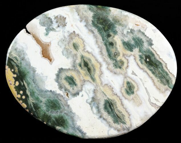 Orbicular Ocean Jasper Slab with Druze - Madagascar #61239